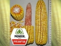PR39F58